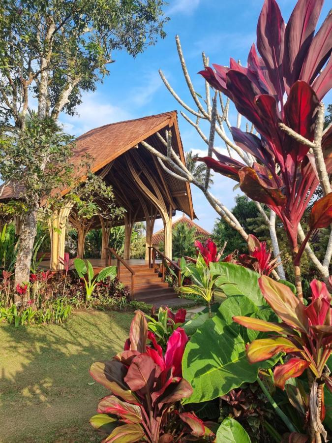 Sava Eco Retreat Hotel Padangan  Екстериор снимка