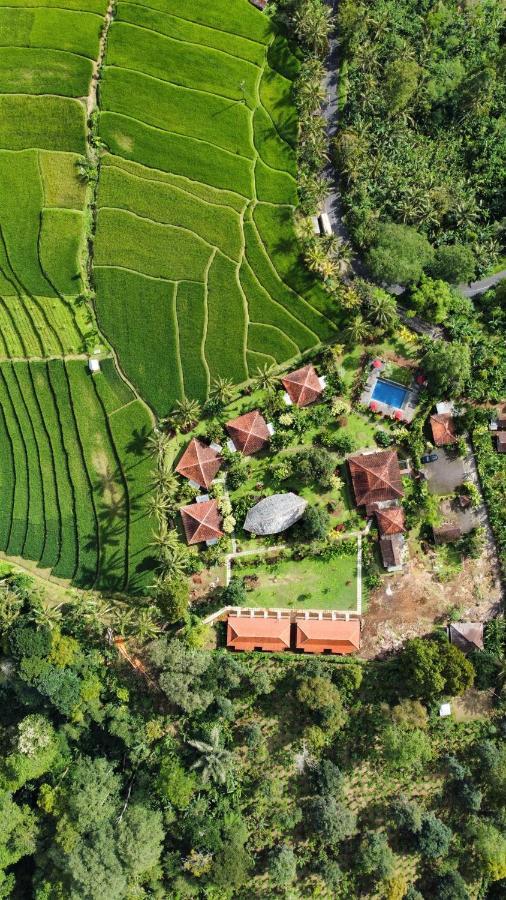 Sava Eco Retreat Hotel Padangan  Екстериор снимка